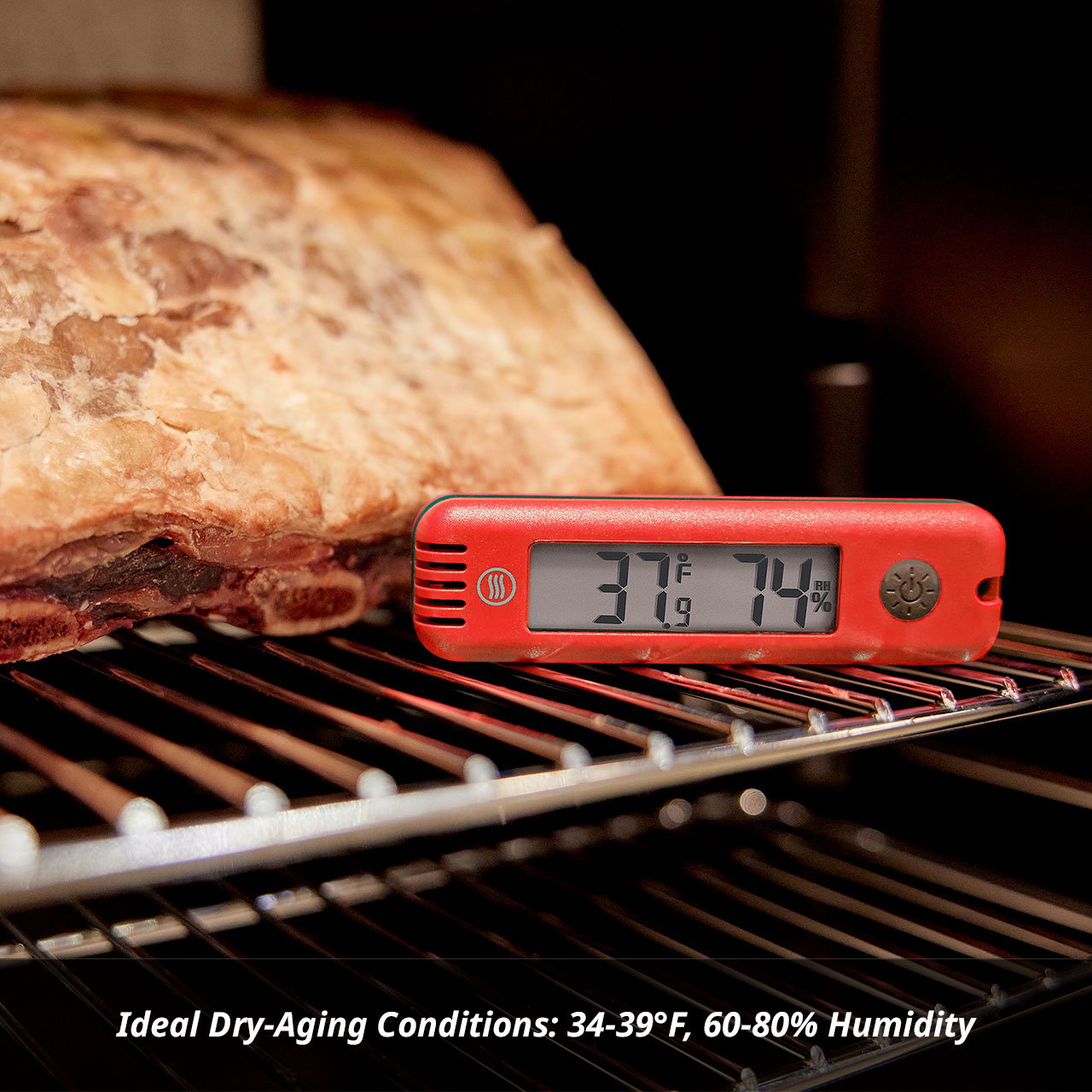 HygroBug-hygrobug-temperature-humidity-meter-g03.jpg