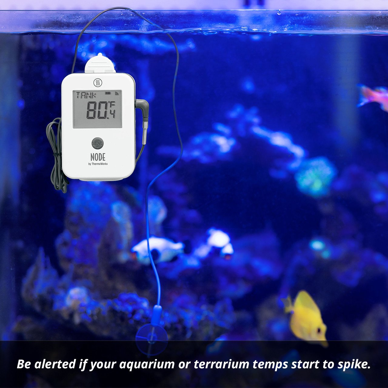 NODE-node-wi-fi-temperature-and-temperature-humidity-monitor-g016.jpg