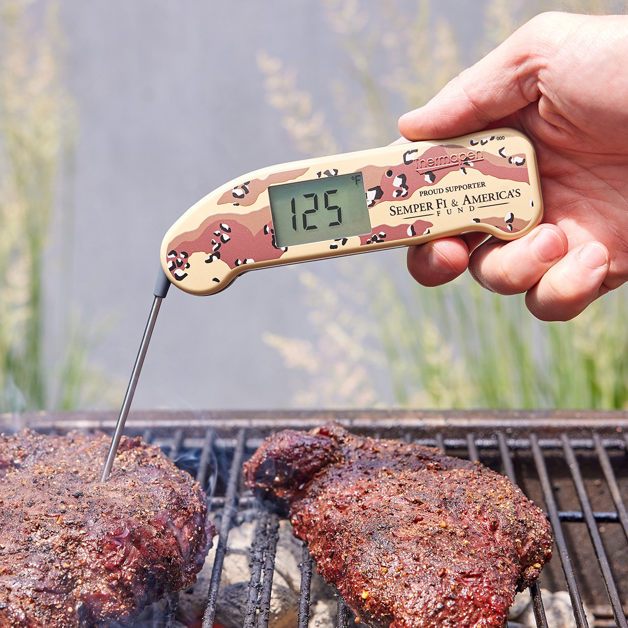 Thermapen-ONE-LE-limited-edition-thermapen-one-g012.jpg