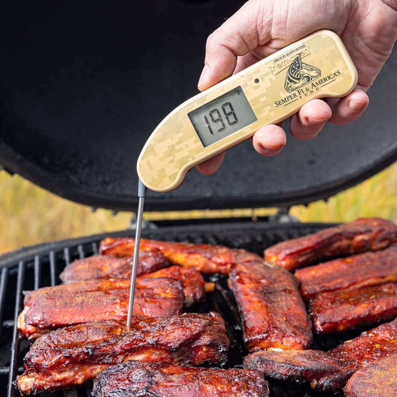 Thermapen-ONE-LE-limited-edition-thermapen-one-g09.jpg